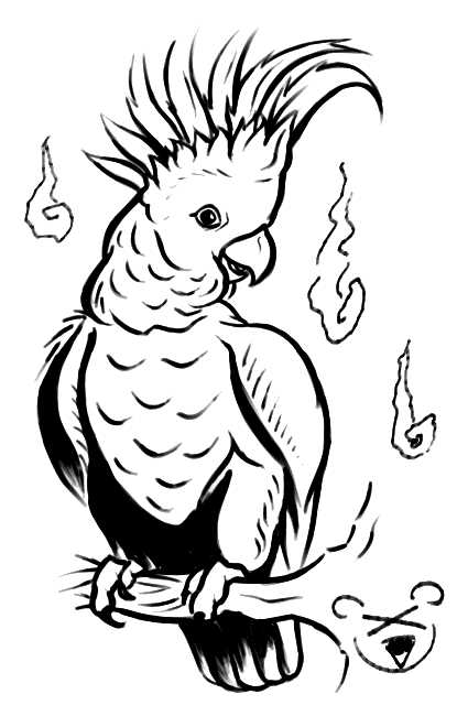 Cockatoo coloring page - Cockatoo free printable coloring pages animals |  Animal coloring pages, Free printable coloring sheets, Bird coloring pages