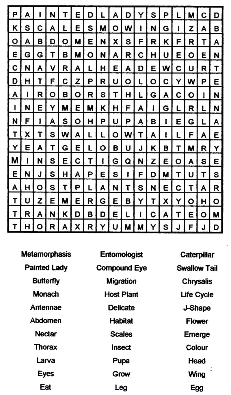 Word Search Puzzles Coloring Pages - Free Printable Coloring Pages for Kids