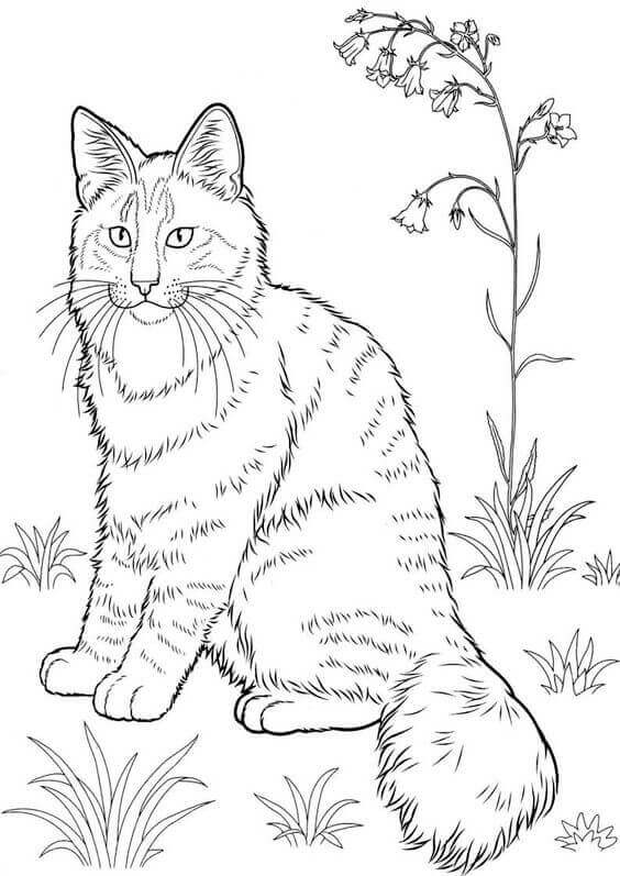 30 Free Printable Cat Coloring Pages