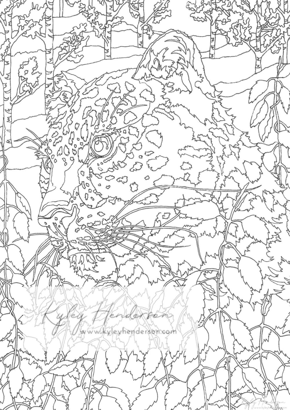 Adult Coloring Pages of Forest Animals. Animal Coloring Pages Instant  Digital Download, Printable — Kyley Henderson Art