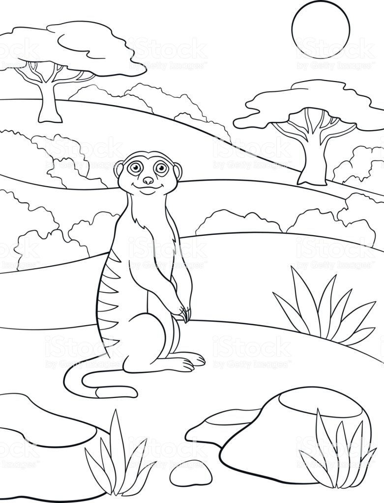 Coloring Pages Little Cute Meerkat Smiles Stock Illustration ...