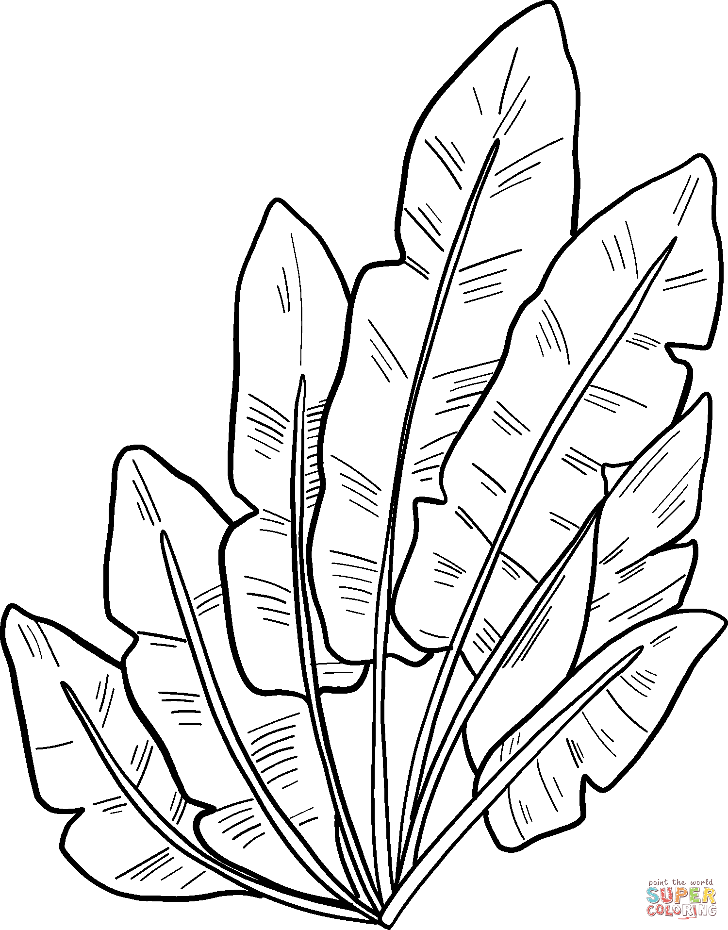 Palm Leaves coloring page | Free Printable Coloring Pages