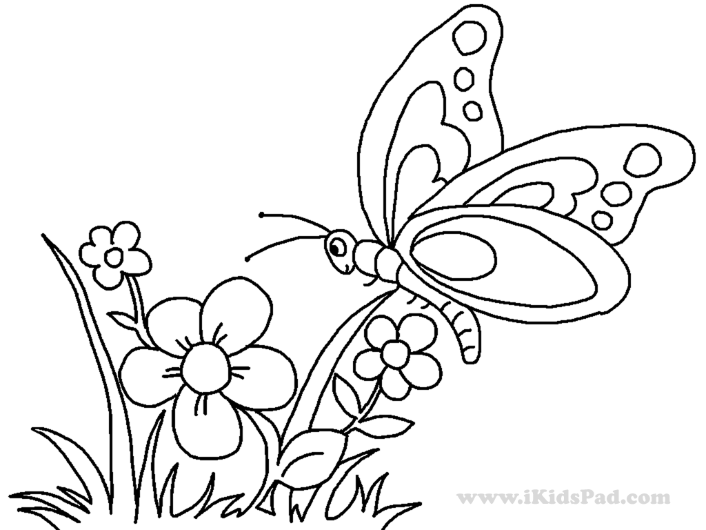 Beautiful Butterflies And Flower Coloring Pages - Coloring Pages ...