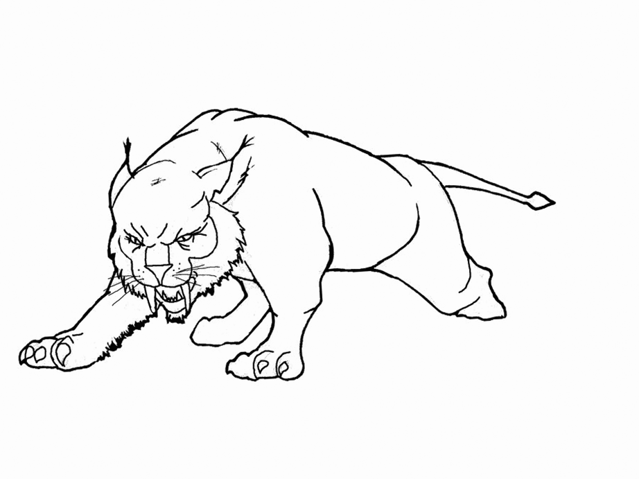 Lynx Coloring Pages - Best Coloring ...