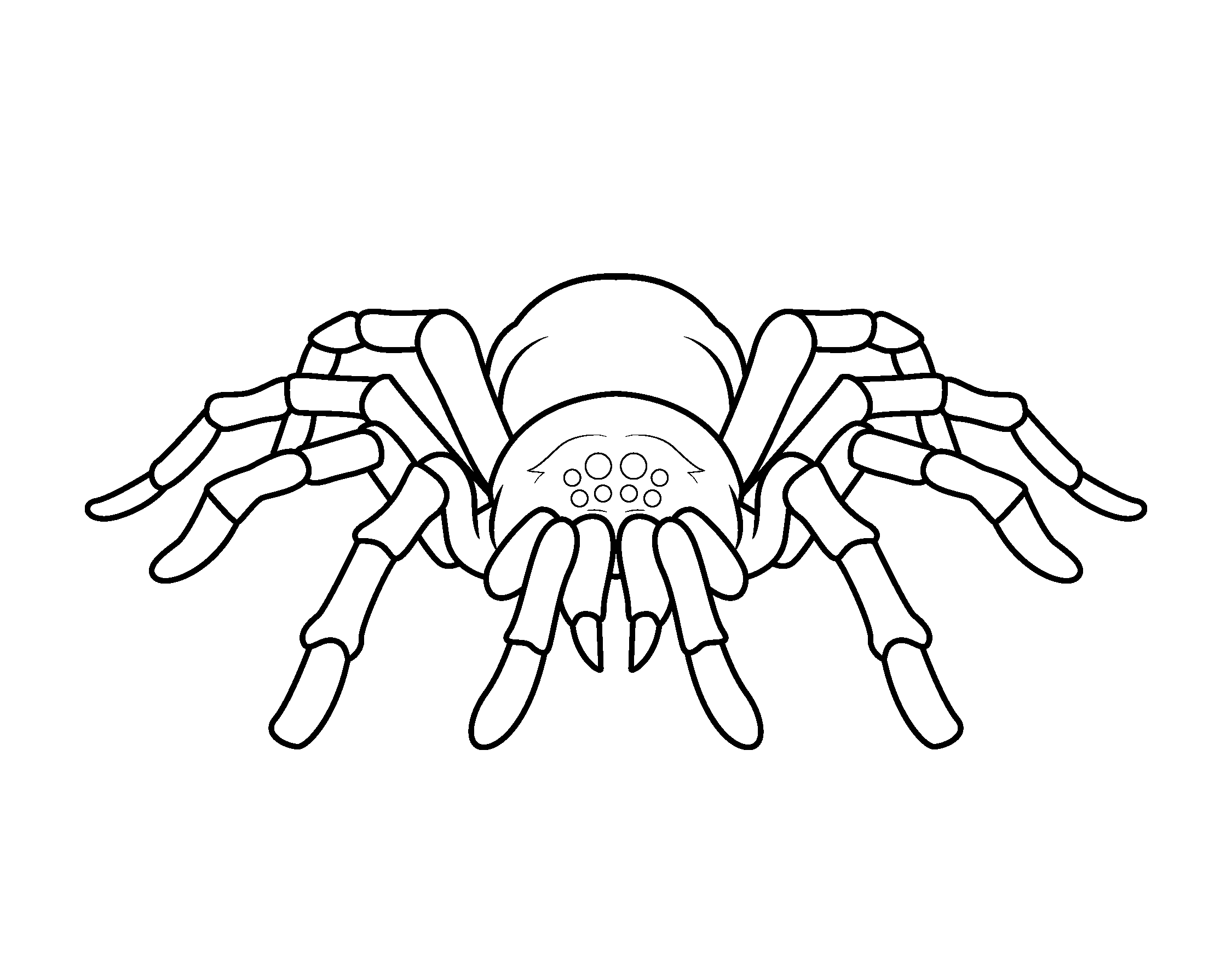 Spider Coloring Pages - Gift of Curiosity
