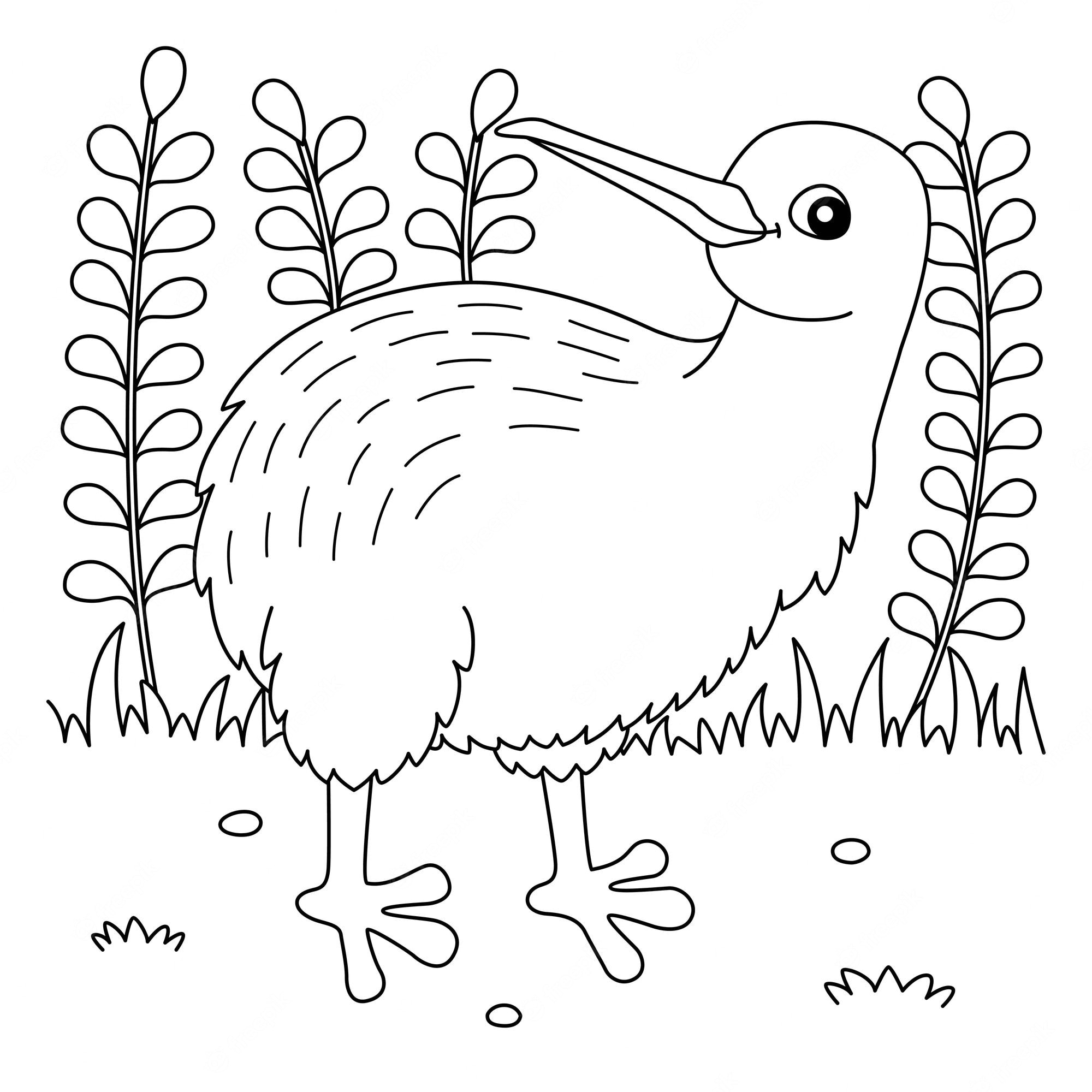 Premium Vector | Kiwi animal coloring page for kids