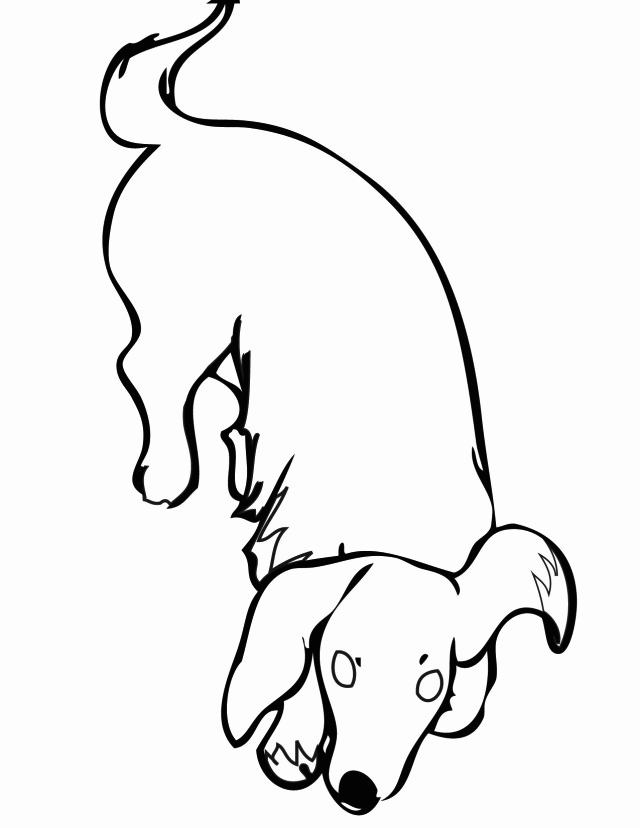 Dachshund Coloring Pages - Best Coloring Pages For Kids