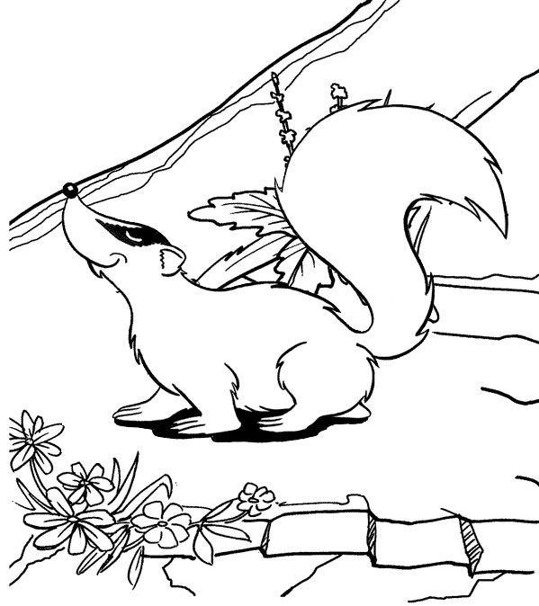 7 Best Badger Coloring Pages for Kids - Coloring Pages