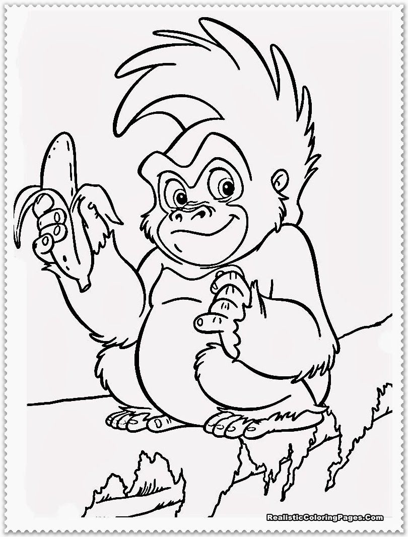 6 Pics of Jungle Animal Coloring Pages - Rainforest Animals ...