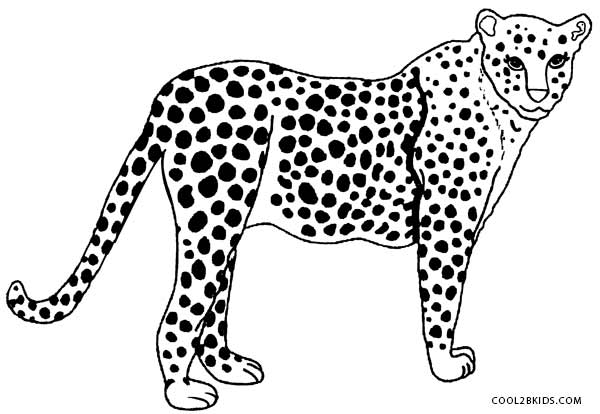 Printable Cheetah Coloring Pages For Kids