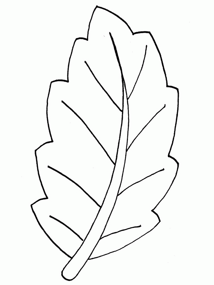 Leaf Coloring Pages To Print for Pinterest