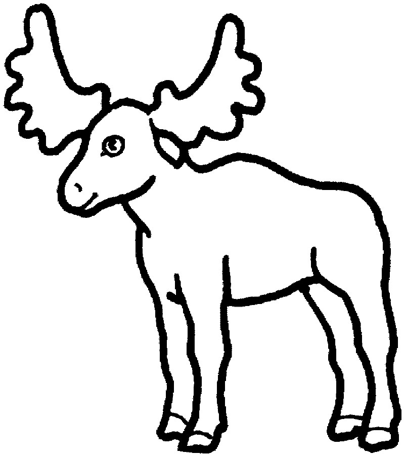 Step by Step to Color Moose Coloring Pages - Toyolaenergy.com