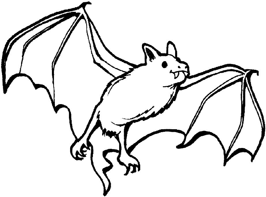 Nc bat coloring page Free baseball bat coloring pages download ...