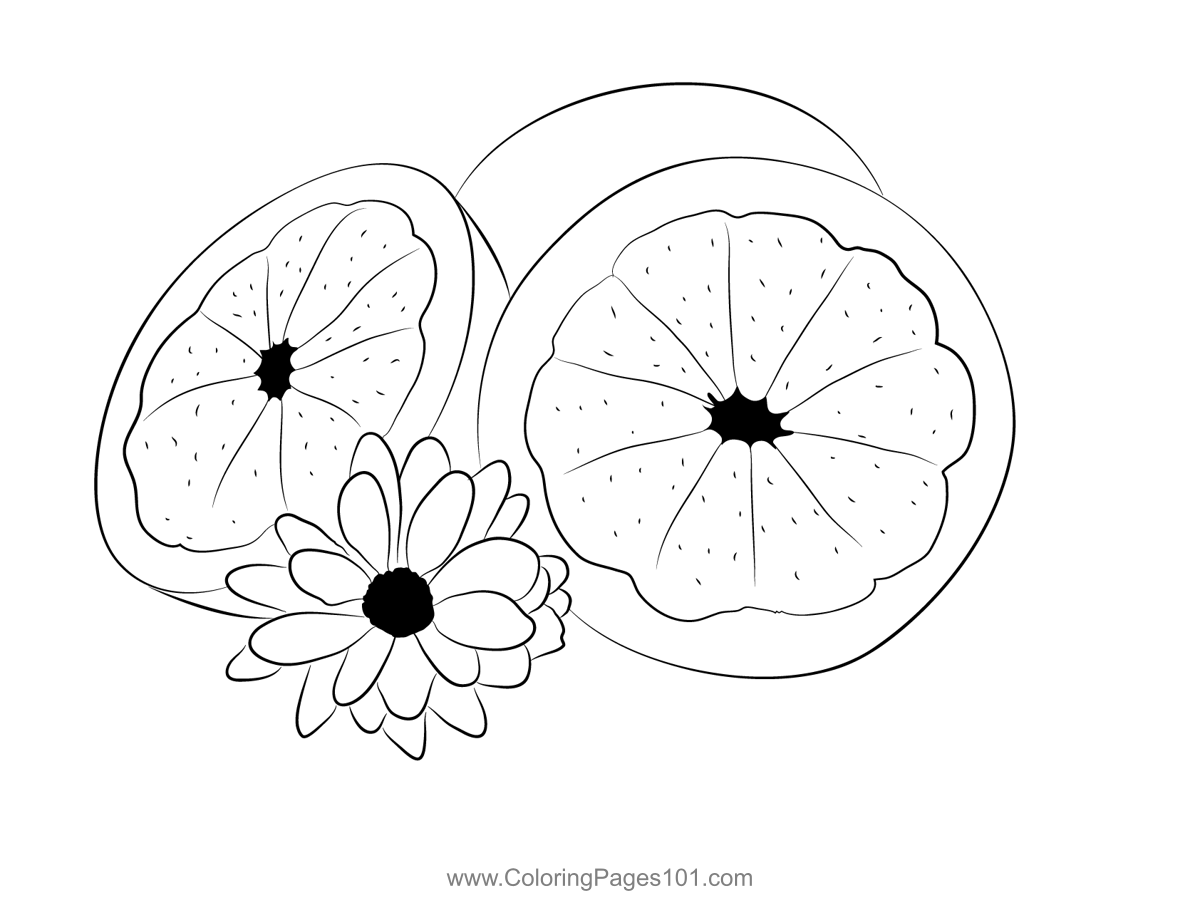 Grapefriut With Flower Coloring Page for Kids - Free Grapefruit Printable Coloring  Pages Online for Kids - ColoringPages101.com | Coloring Pages for Kids