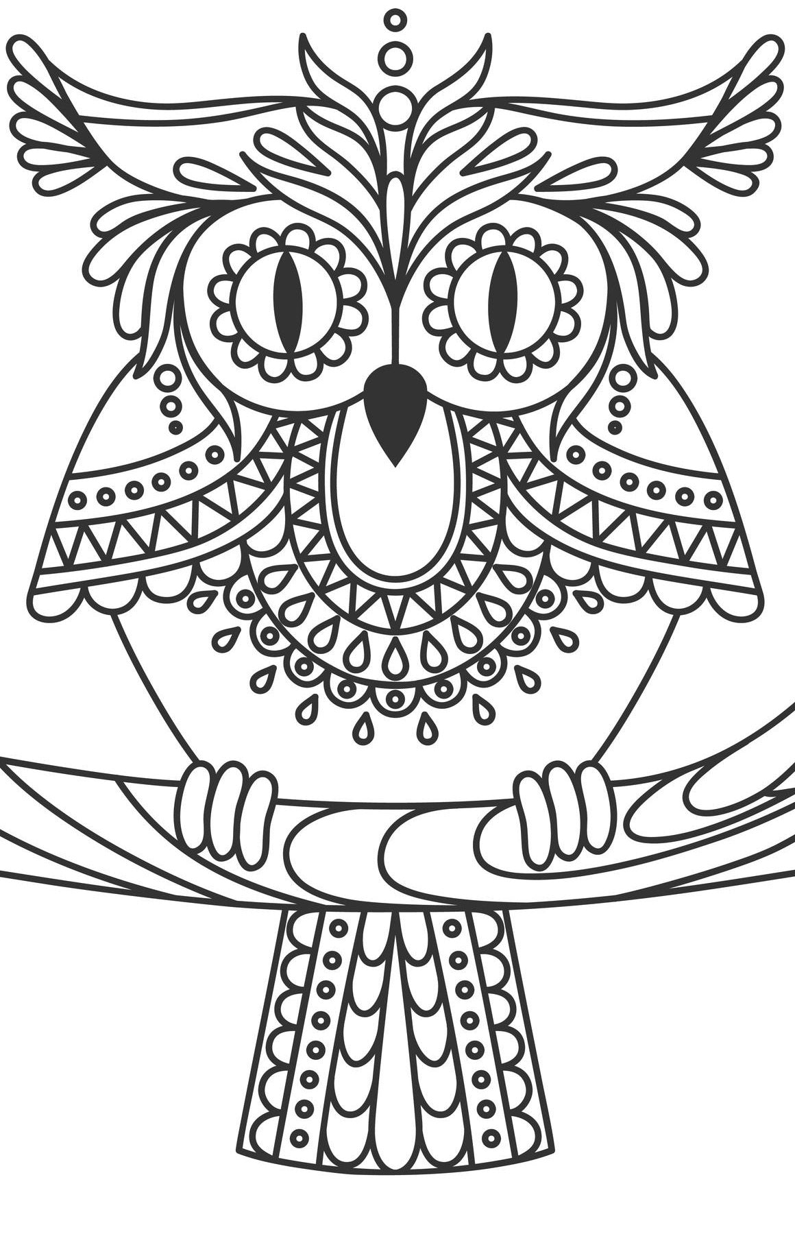Large Print OWLS PDF Coloring Book For Beginners, Seniors or Visually –  Rachel Mintz Coloring Books