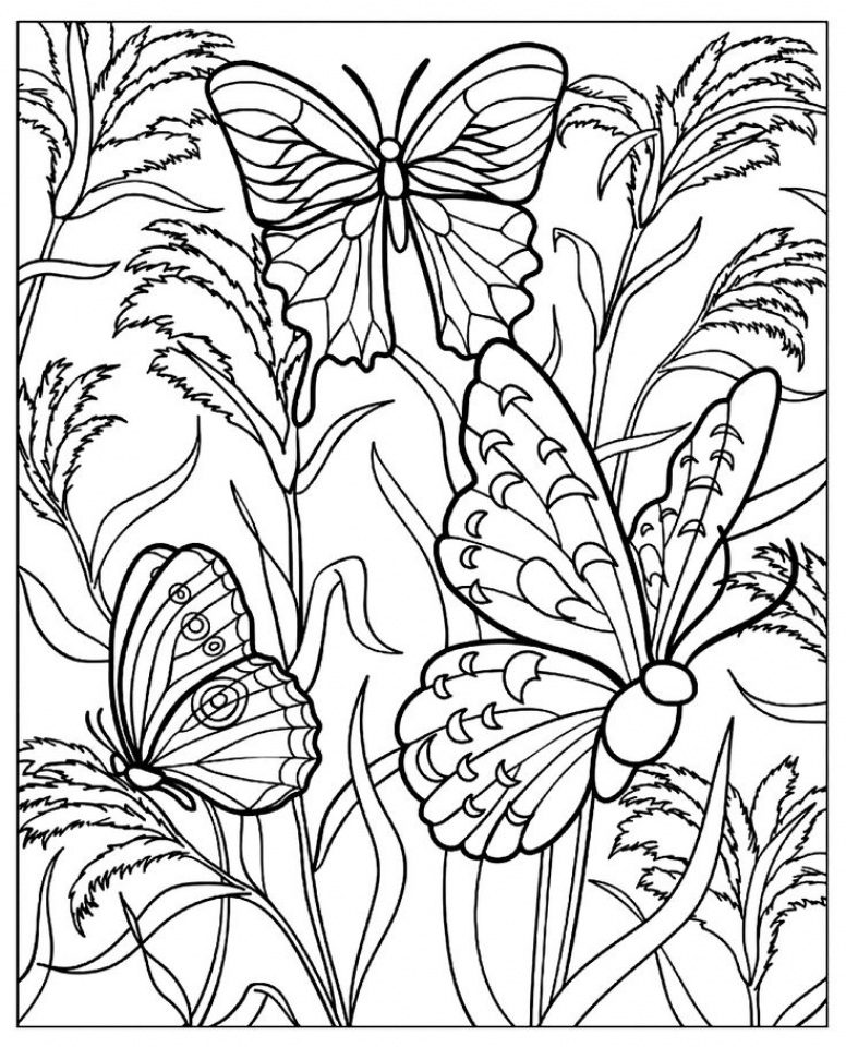 20+ Free Printable Butterfly Coloring Pages for Adults -  EverFreeColoring.com