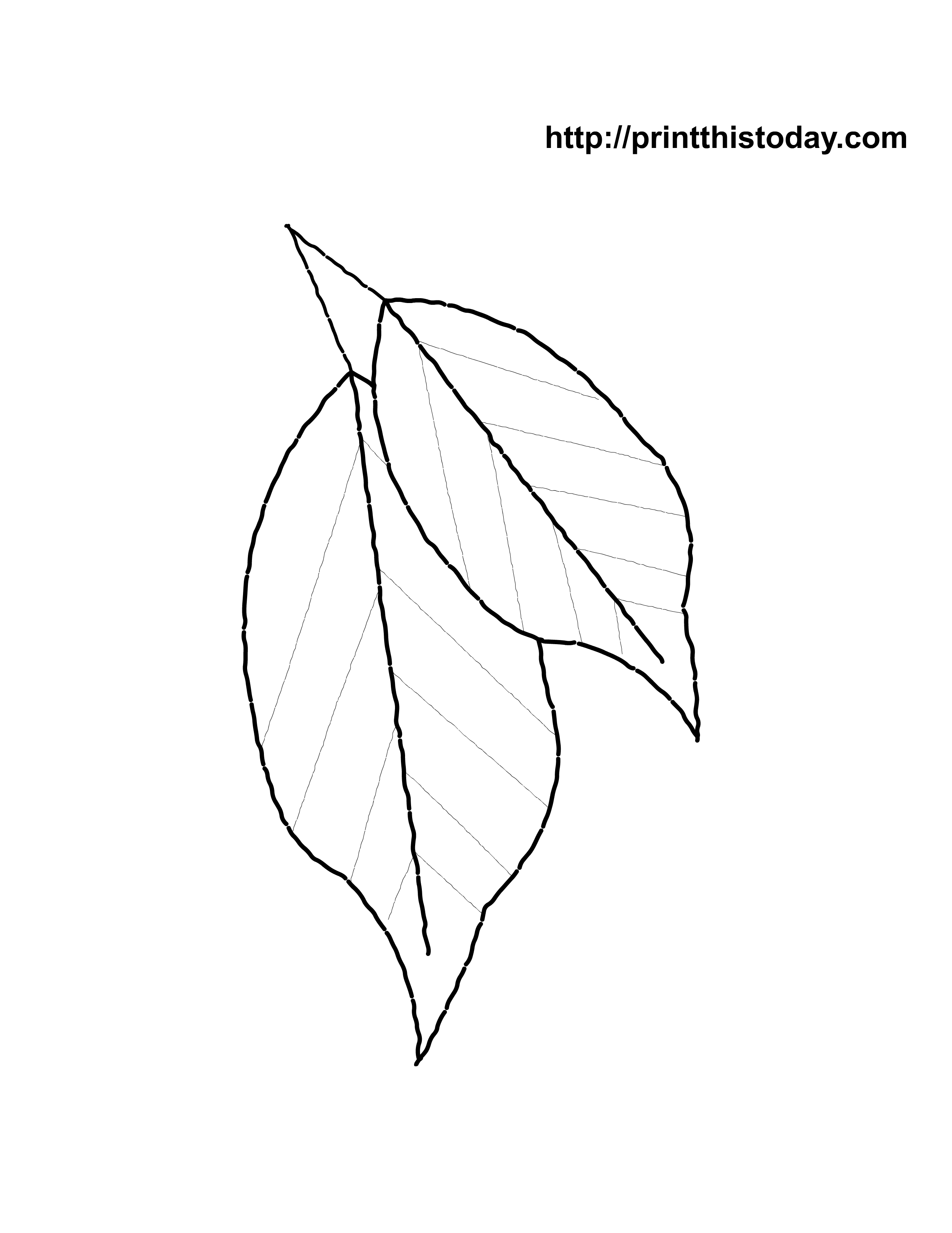 Toronto Maple Leaf Coloring Sheets Leaf Coloring Pages. Kids ...