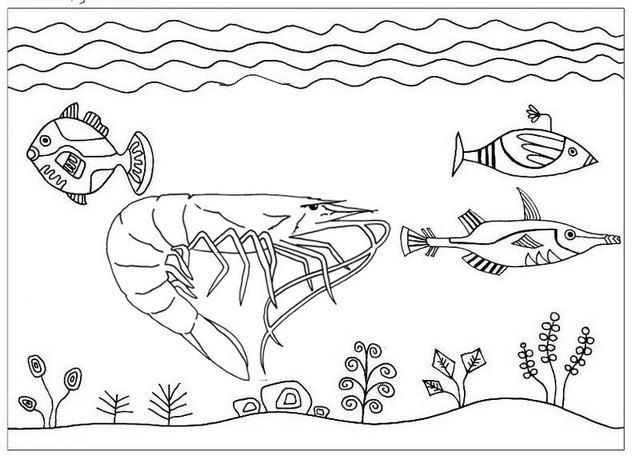 Pin on Shrimp Coloring Pages