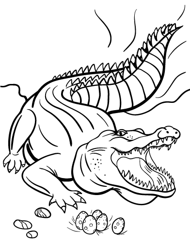 Drawing Crocodile #4861 (Animals) – Printable coloring pages