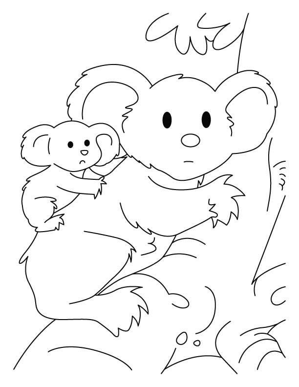 Koala Bear Coloring Page - Get Coloring Pages