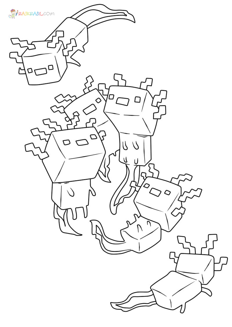 Axolotl Minecraft Coloring Pages