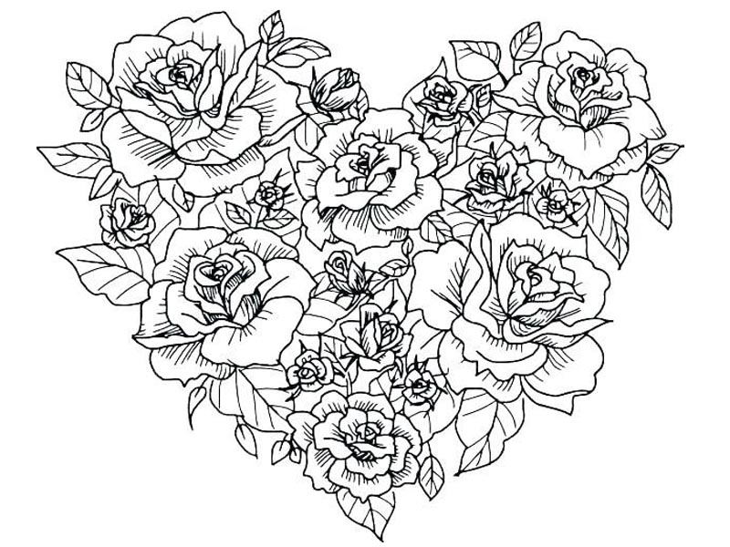 15 Gorgeous Rose Coloring Pages for Kids and Adults