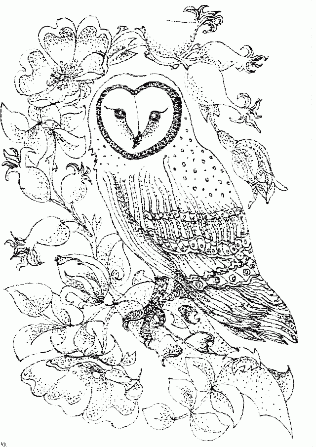 Proficiency Bird Coloring Pages For Kids Az Coloring Pages ...
