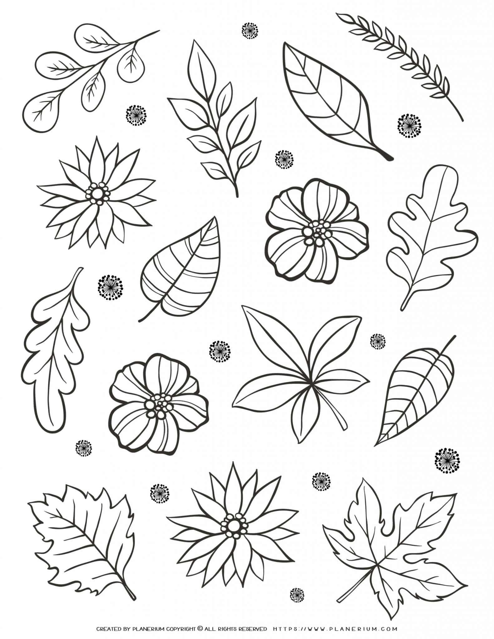 Adult Coloring Page - Flowers And ...