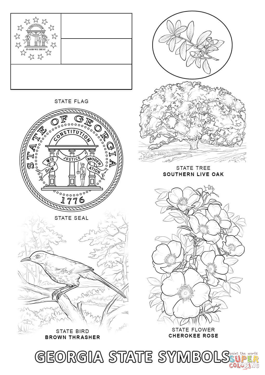 Georgia State Symbols coloring page | Free Printable Coloring Pages