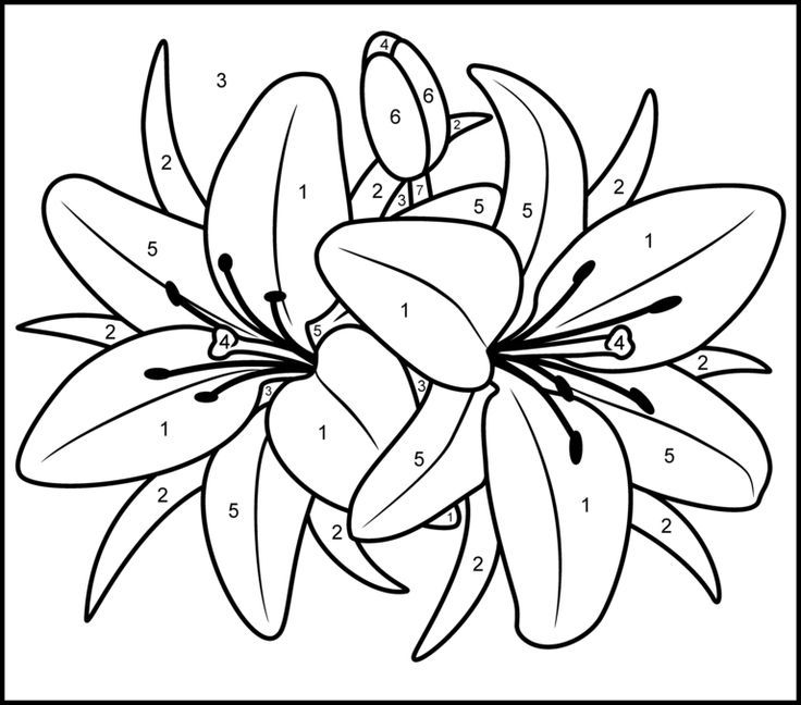 Color by Number Printables ⋆ coloring.rocks! Free Coloring Pages | Flower  drawing, Easy flower drawings, Flower coloring pages