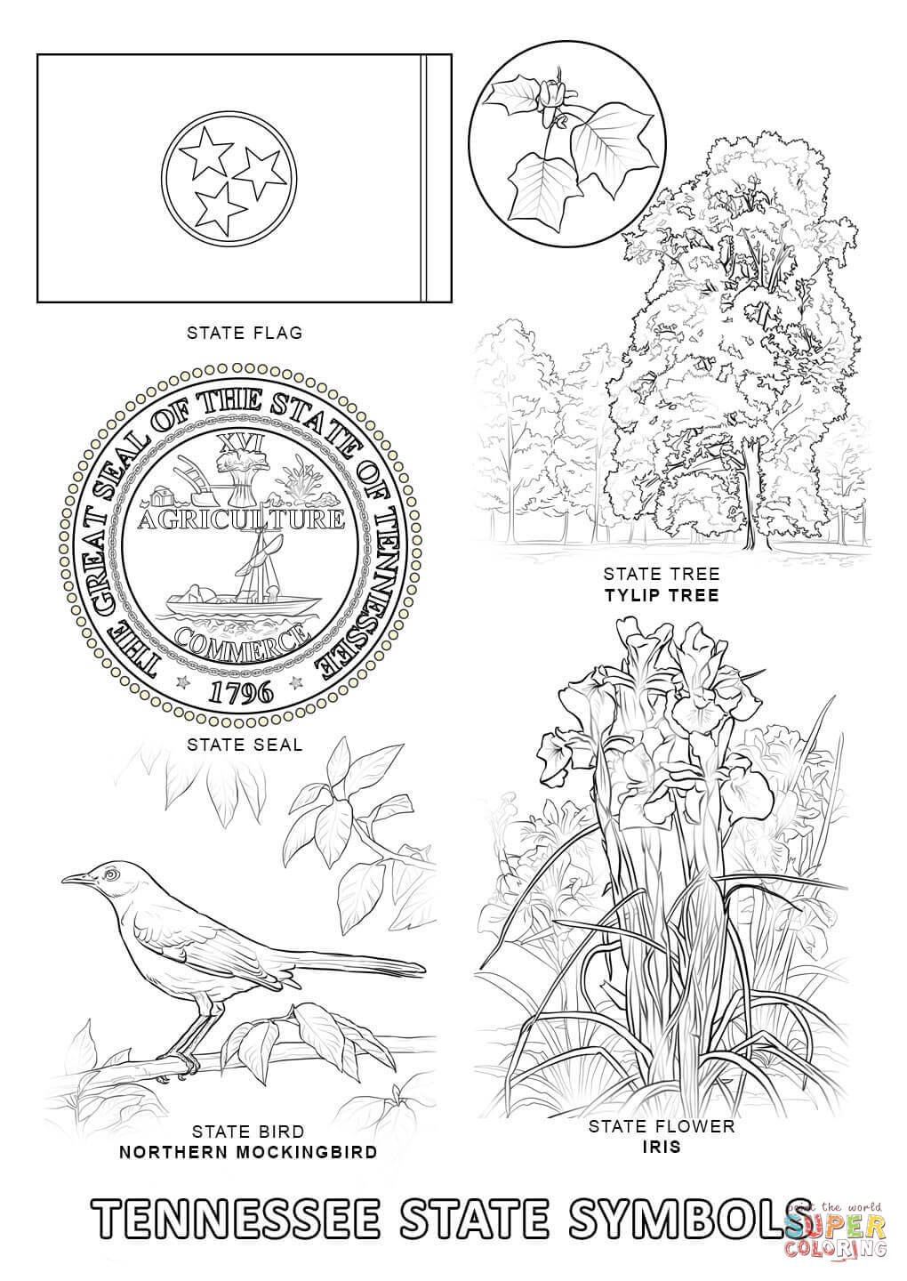 Tennessee State Symbols coloring page | Free Printable Coloring Pages