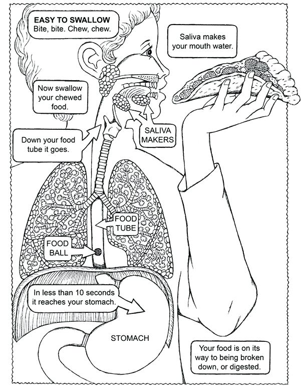 Grown Man Human Body Coloring Pages Sky Sheets - Human Body Coloring Sheets  | behindthegown.com