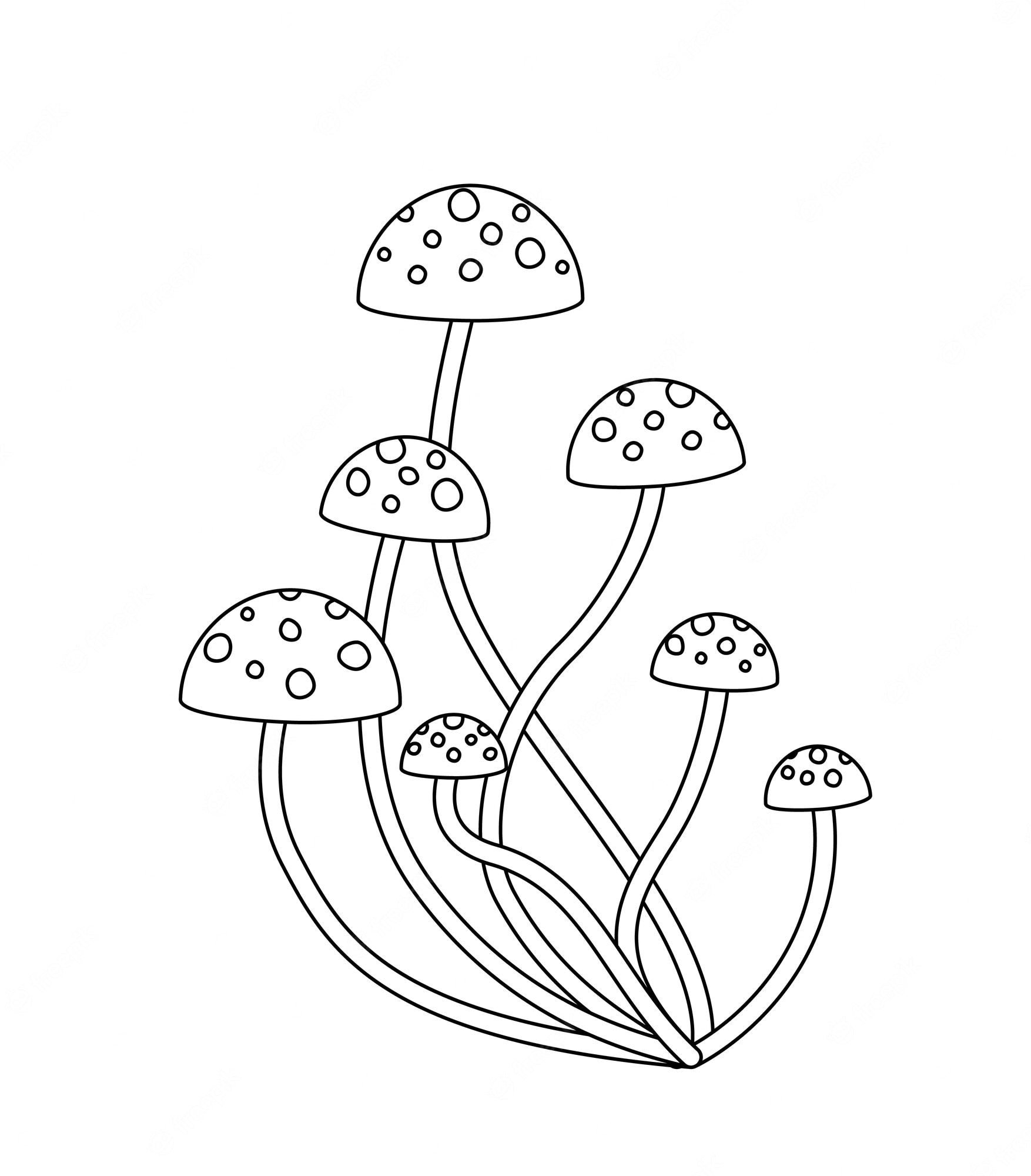 Premium Vector | Mushrooms coloring page black and white toxic mushroom  vector