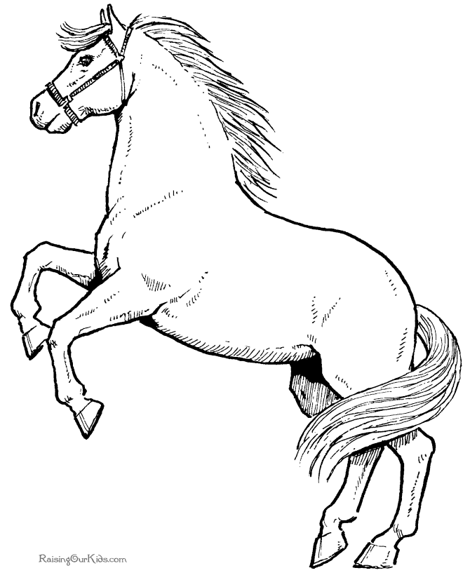 Free Color In Horses, Download Free Clip Art, Free Clip Art on ...
