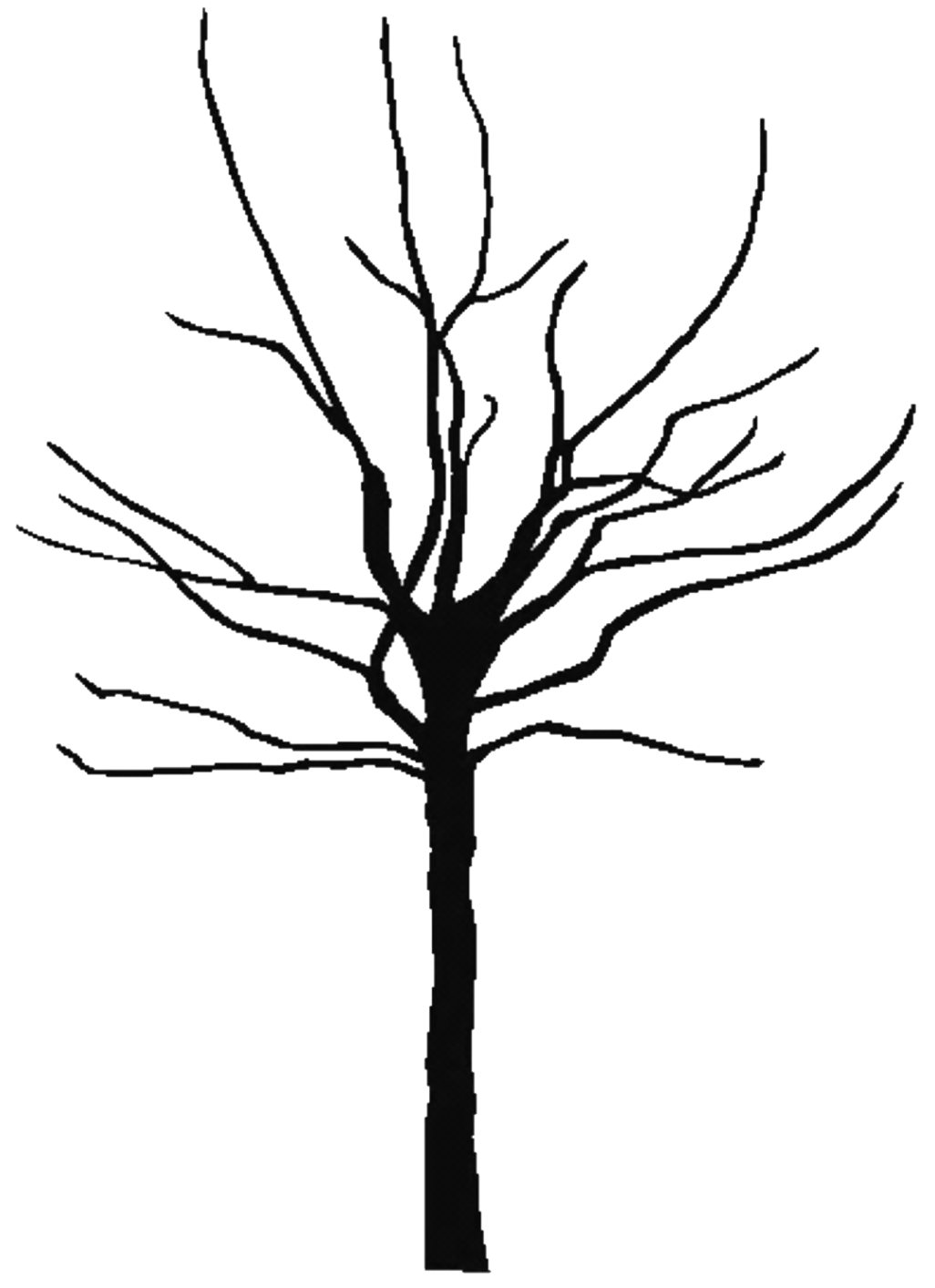 Pictures Of Bare Trees Clipart - Free to use Clip Art Resource