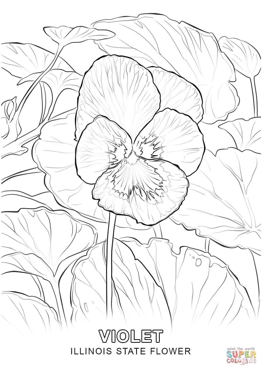 Illinois State Flower coloring page | Free Printable Coloring ...