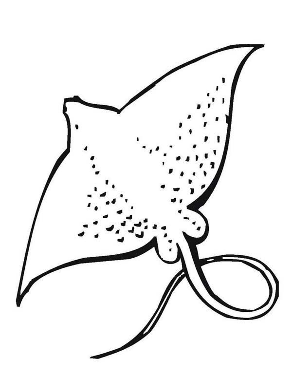 Printable Stingray Clipart Black And White