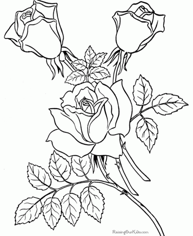 Adult Flowers | Free Coloring Pages on Masivy World