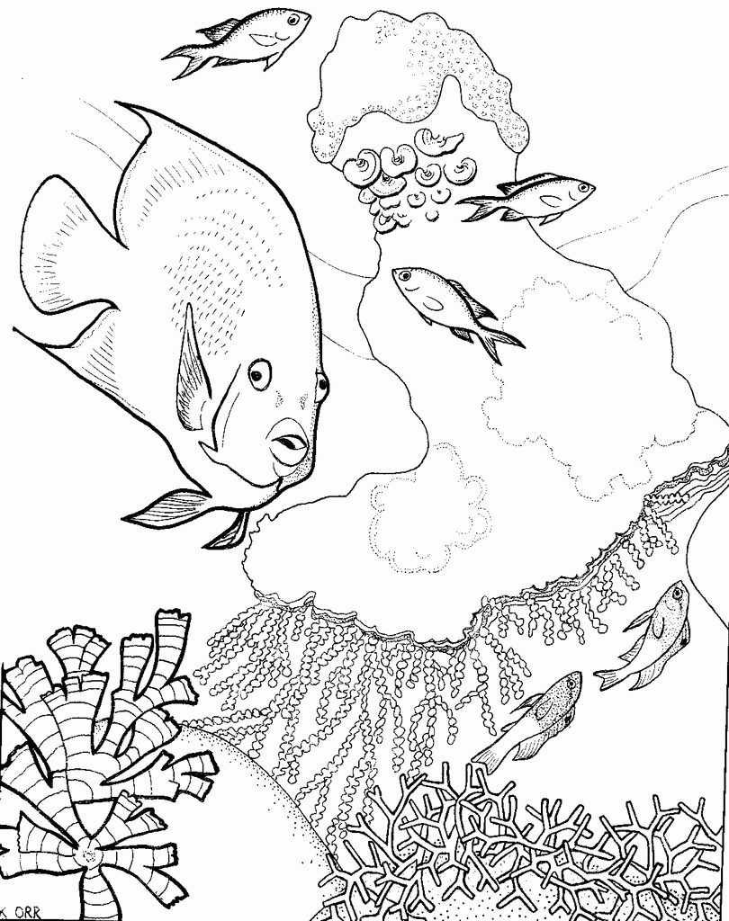 Coral Reef Coloring Page For Kids