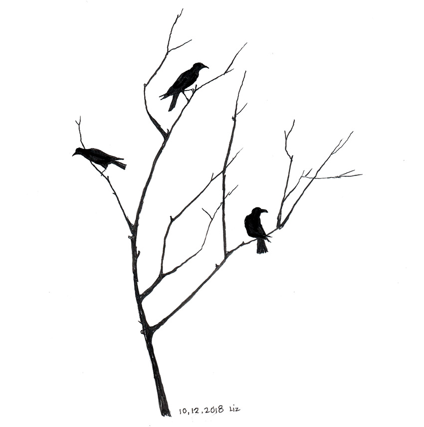 Crow On A Tree Drawing