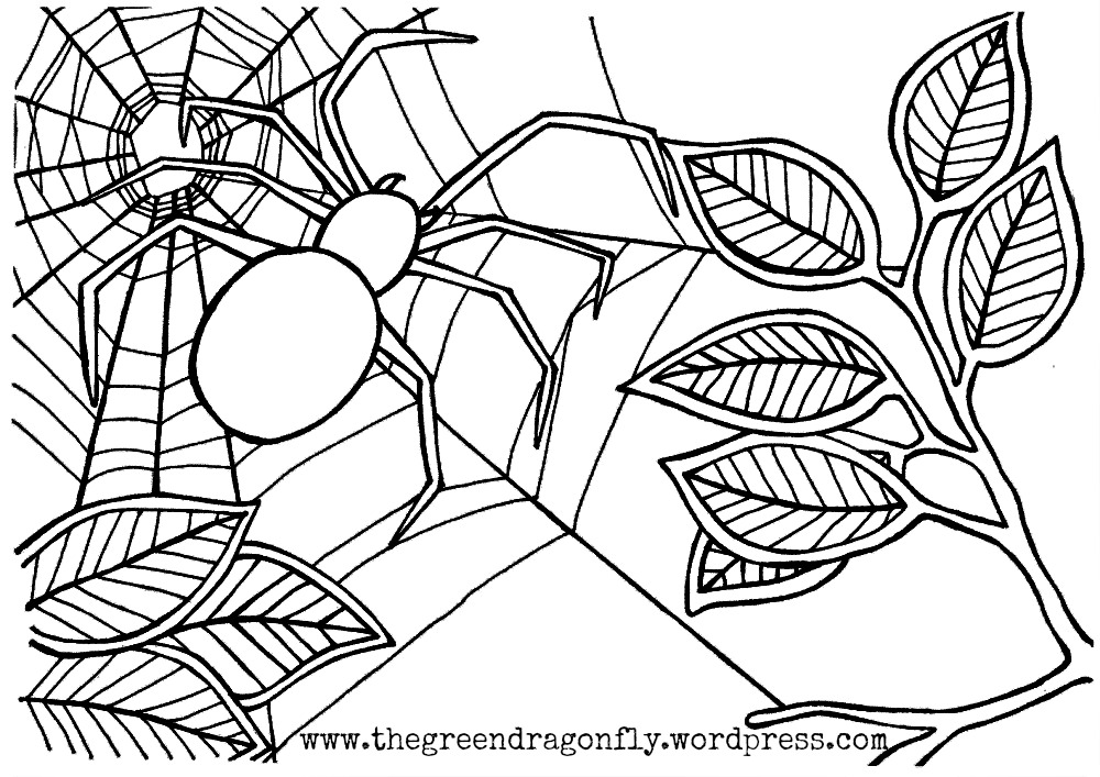 Spider web coloring sheet – The Green ...