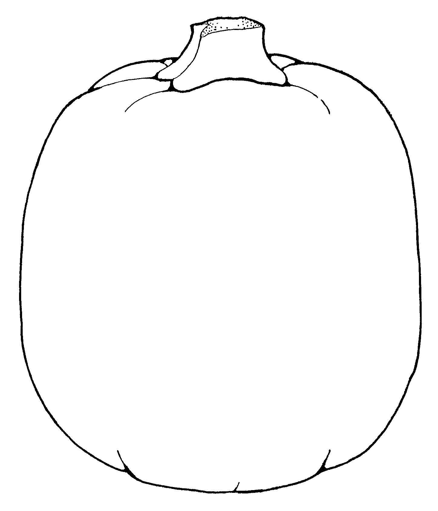 Pumpkin Outline Drawing - HalloweenFunky.com