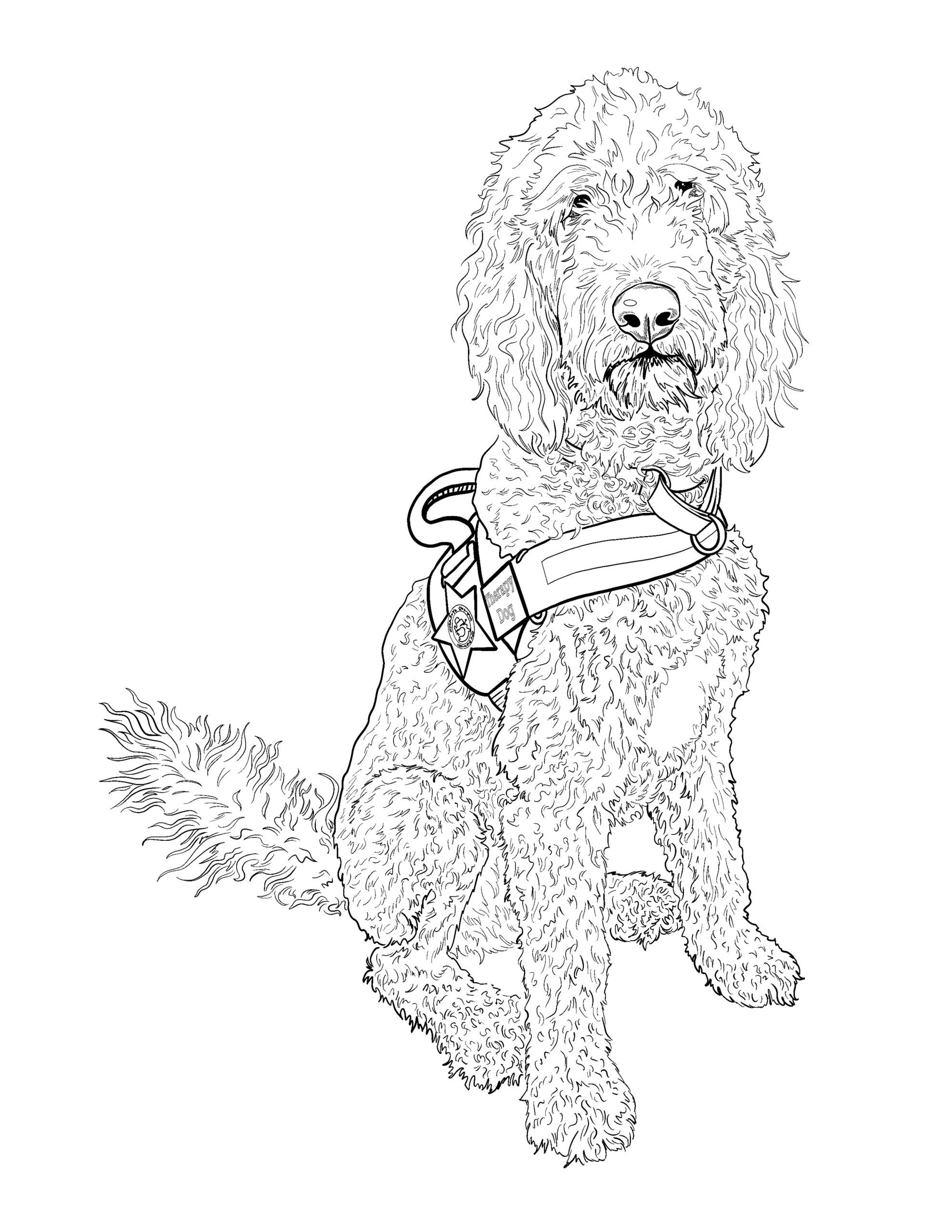 Coloring Pages K9 - Murphy - Osceola County Sheriff's Office - Sheriff  Marco Lopez