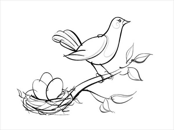 FREE 20+ Bird Coloring Pages in AI