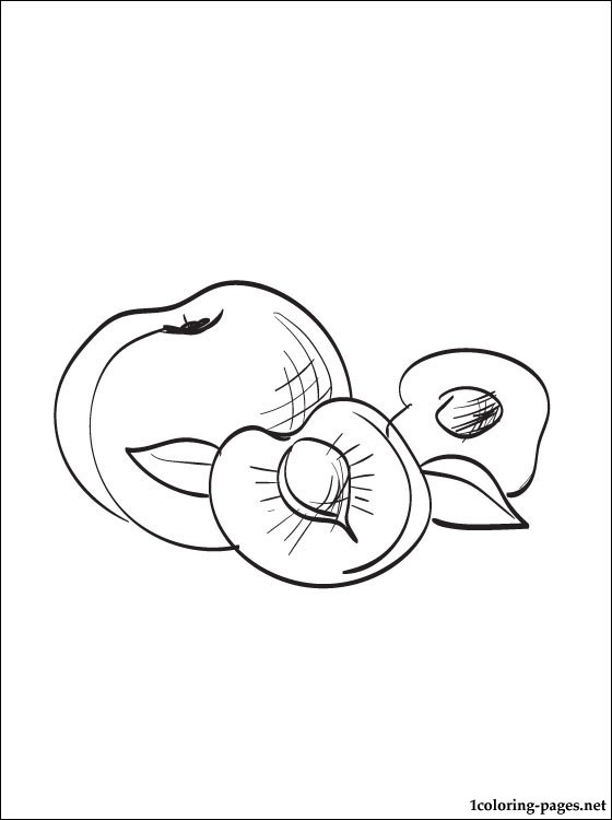 Coloring page Peach | Coloring pages