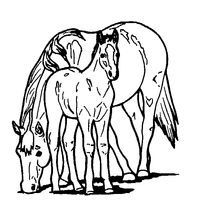 Printable Coloring Pages Of Horses | Free Coloring Pages