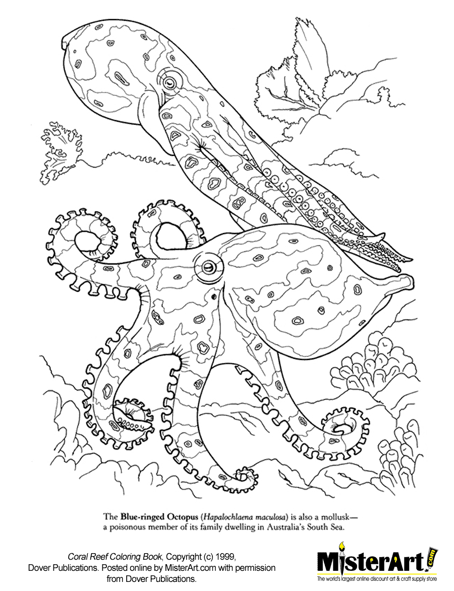 21 Free Pictures for: Coral Reef Coloring Page. Temoon.us