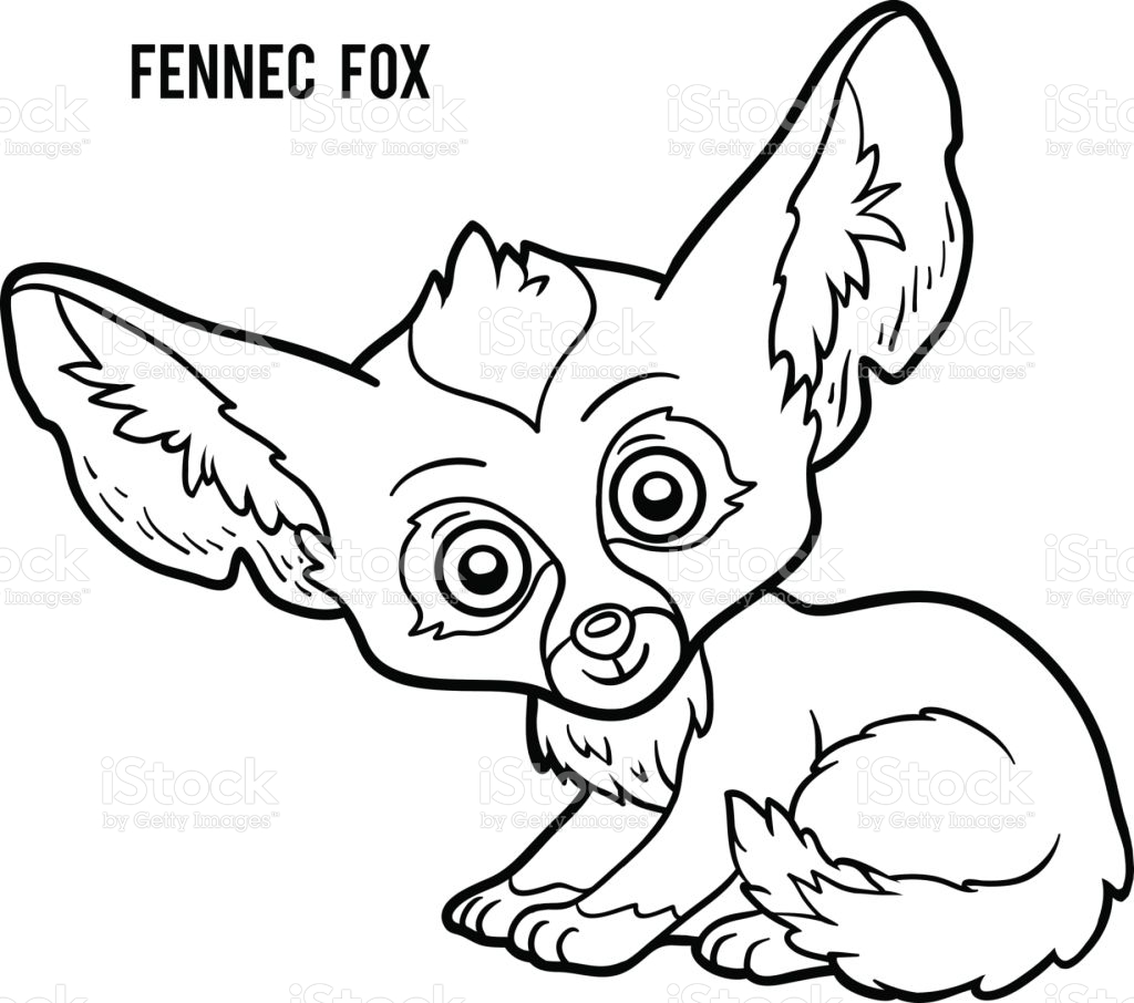 Coloring Book Fennec Fox Stock Illustration - Download Image Now ...