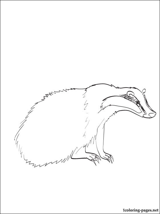 Badger coloring page | Coloring pages