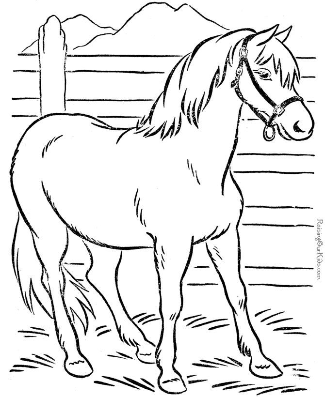 Animal coloring pages - Horse coloring page | Coloring Pages ...